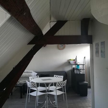 Appartement Spacieux Vue Sur Loire Proche Du Centre บลัวส์ ภายนอก รูปภาพ