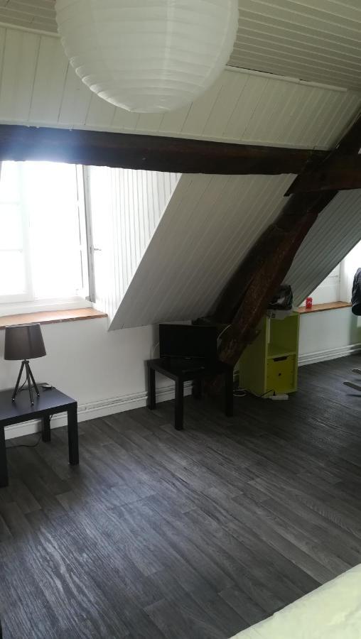 Appartement Spacieux Vue Sur Loire Proche Du Centre บลัวส์ ภายนอก รูปภาพ