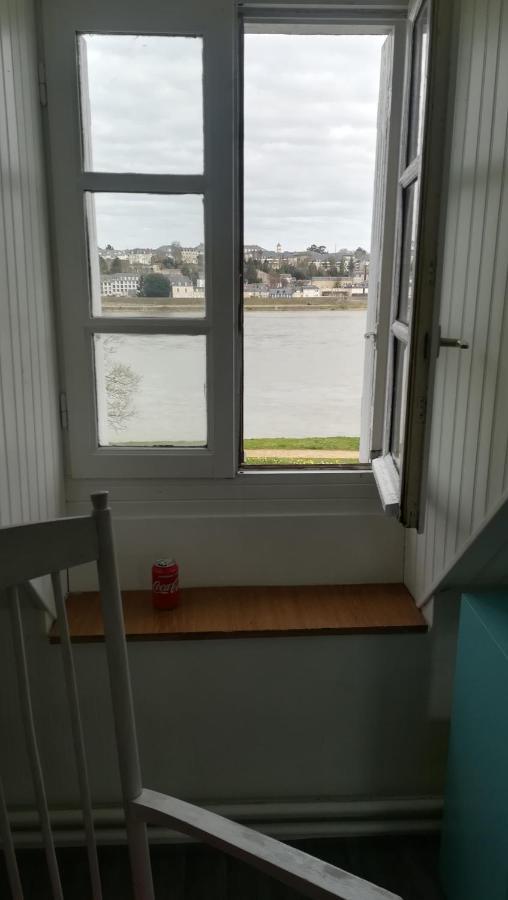 Appartement Spacieux Vue Sur Loire Proche Du Centre บลัวส์ ภายนอก รูปภาพ