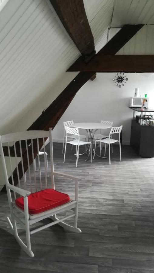 Appartement Spacieux Vue Sur Loire Proche Du Centre บลัวส์ ภายนอก รูปภาพ