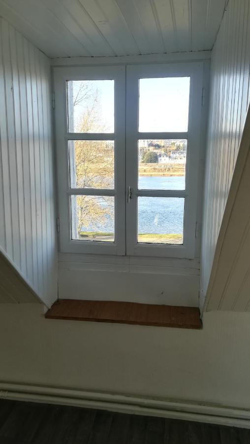 Appartement Spacieux Vue Sur Loire Proche Du Centre บลัวส์ ภายนอก รูปภาพ