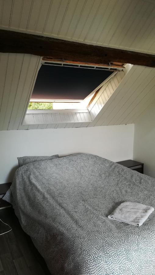 Appartement Spacieux Vue Sur Loire Proche Du Centre บลัวส์ ภายนอก รูปภาพ