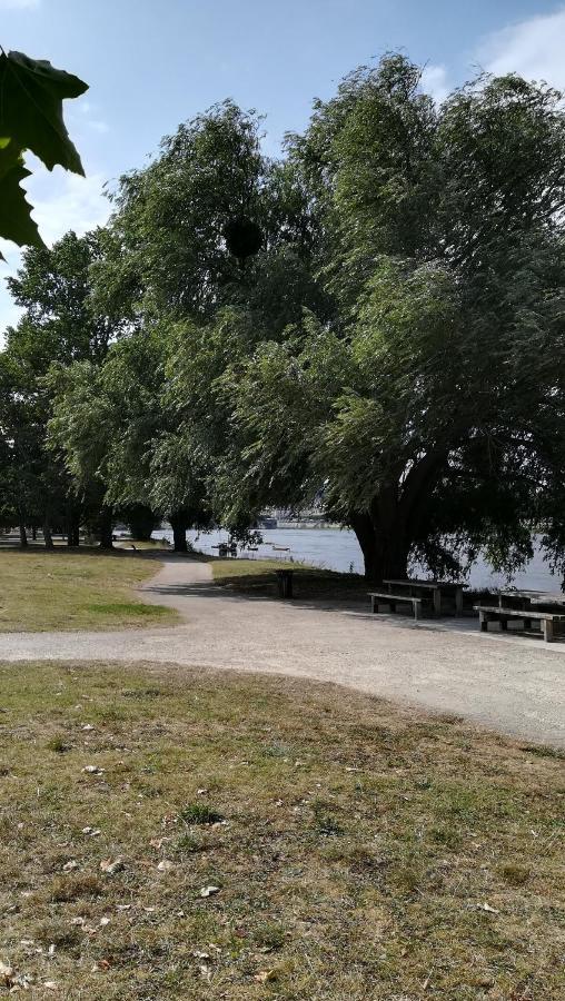 Appartement Spacieux Vue Sur Loire Proche Du Centre บลัวส์ ภายนอก รูปภาพ