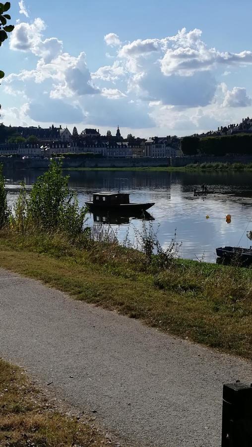 Appartement Spacieux Vue Sur Loire Proche Du Centre บลัวส์ ภายนอก รูปภาพ