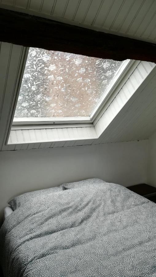 Appartement Spacieux Vue Sur Loire Proche Du Centre บลัวส์ ภายนอก รูปภาพ