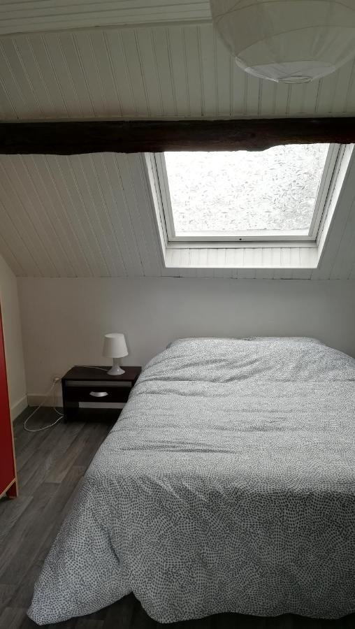 Appartement Spacieux Vue Sur Loire Proche Du Centre บลัวส์ ภายนอก รูปภาพ