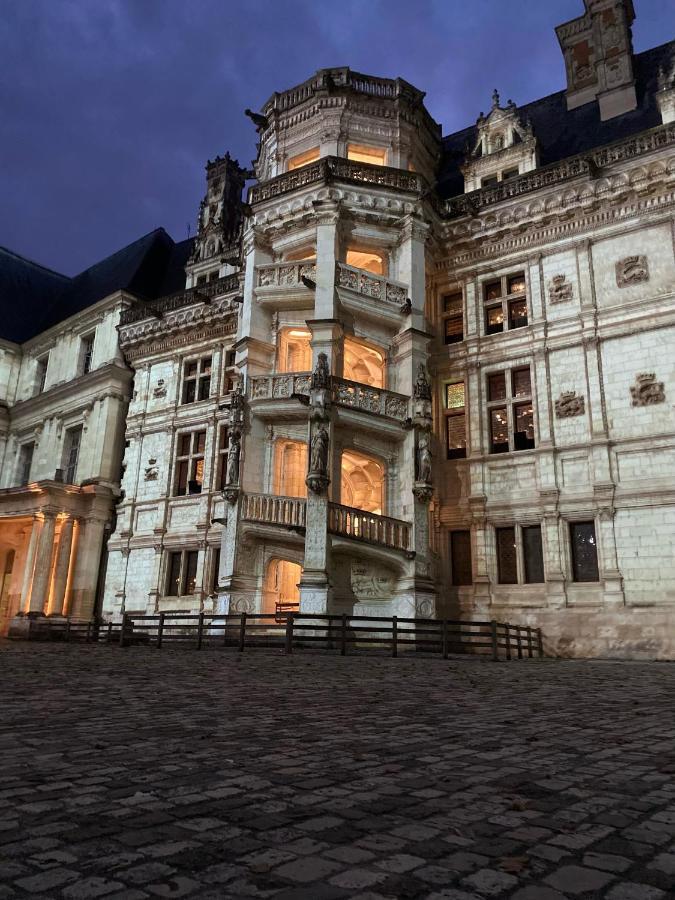 Appartement Spacieux Vue Sur Loire Proche Du Centre บลัวส์ ภายนอก รูปภาพ