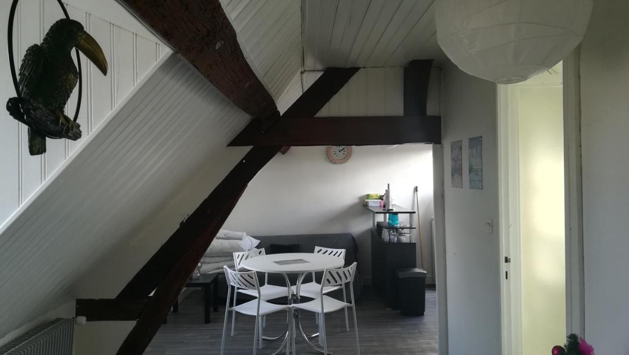 Appartement Spacieux Vue Sur Loire Proche Du Centre บลัวส์ ภายนอก รูปภาพ