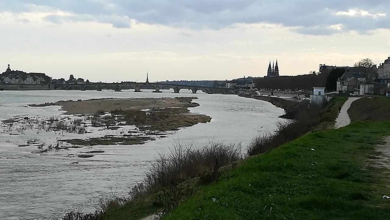 Appartement Spacieux Vue Sur Loire Proche Du Centre บลัวส์ ภายนอก รูปภาพ