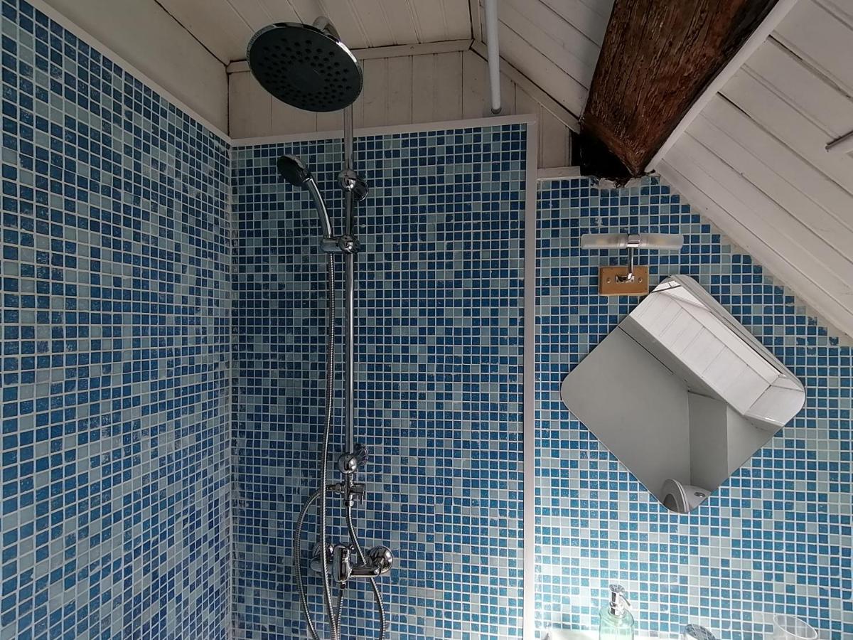 Appartement Spacieux Vue Sur Loire Proche Du Centre บลัวส์ ภายนอก รูปภาพ